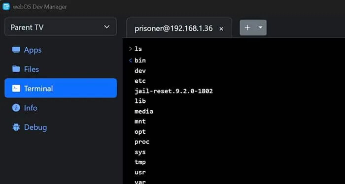 The Terminal in webOS Dev Manager listing the TV's folders